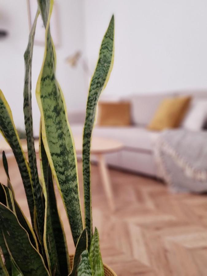 Cozy Apartment In The City Center Гранада Екстериор снимка